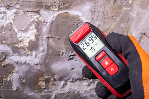 Best Kitchen Mold Remediation in Copperopolis, CA