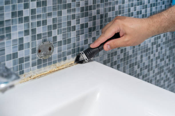 Professional Mold Remediation in Copperopolis, CA