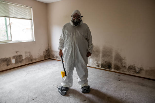 Best HVAC Mold Remediation in Copperopolis, CA