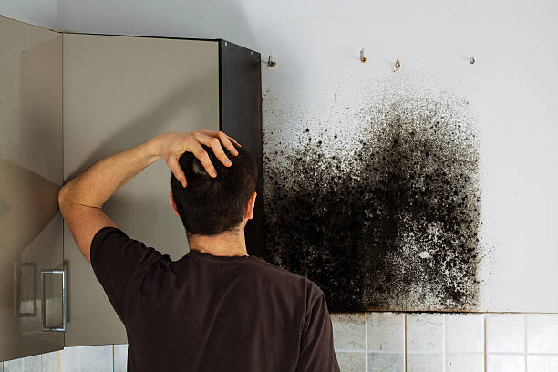 Best Industrial Mold Remediation in Copperopolis, CA